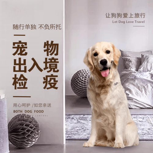 北海市宠物托运到哥伦比亚猫狗宠物入境规定和