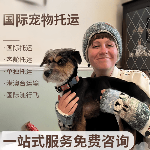 北海市国际宠物托运到阿根廷宠物入境规定和要