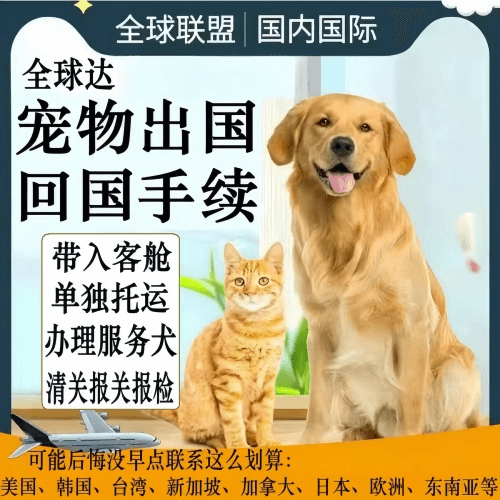 北海市宠物托运到柬埔寨宠物入境规定和要求