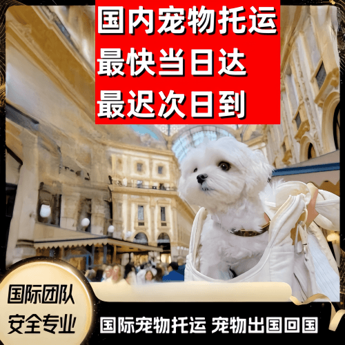 北海市到澳大利亚（澳洲）宠物入境规定和要求