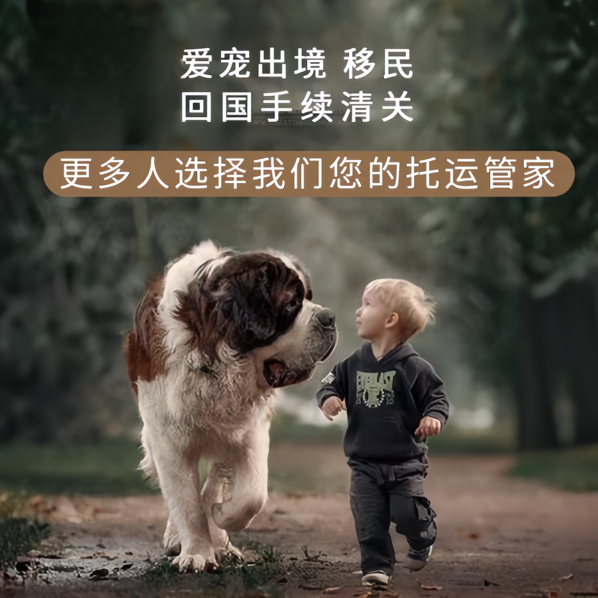 满财北海市宠物全球达宠物托运在遵守入境目的地政策的条件