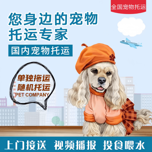 满财北海市宠物全球达宠物托运作为专业的宠物运输代理机构
